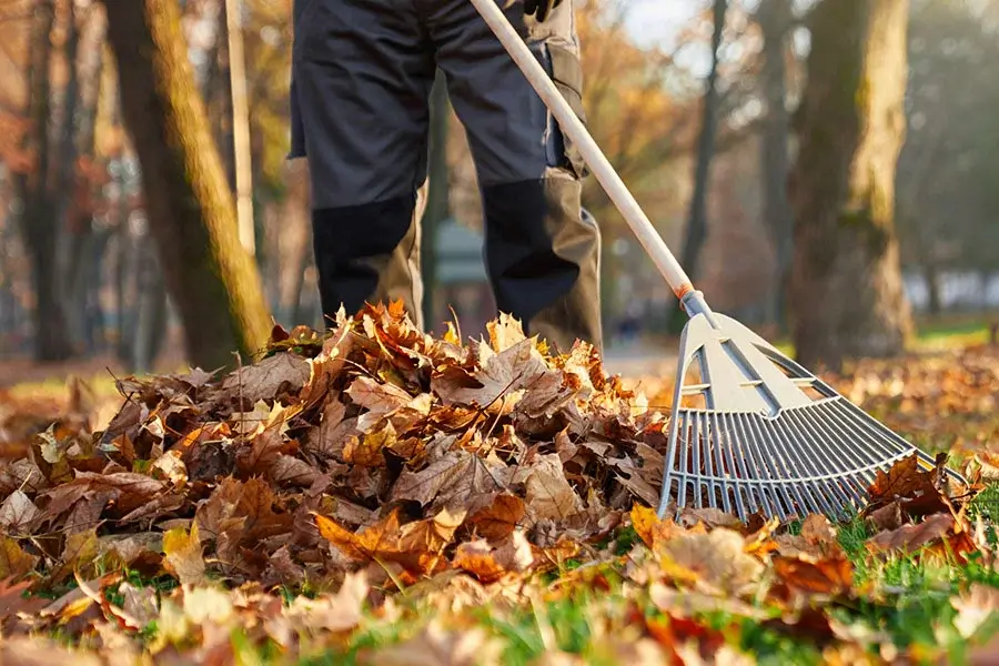  YARD CLEANUP SERVICES